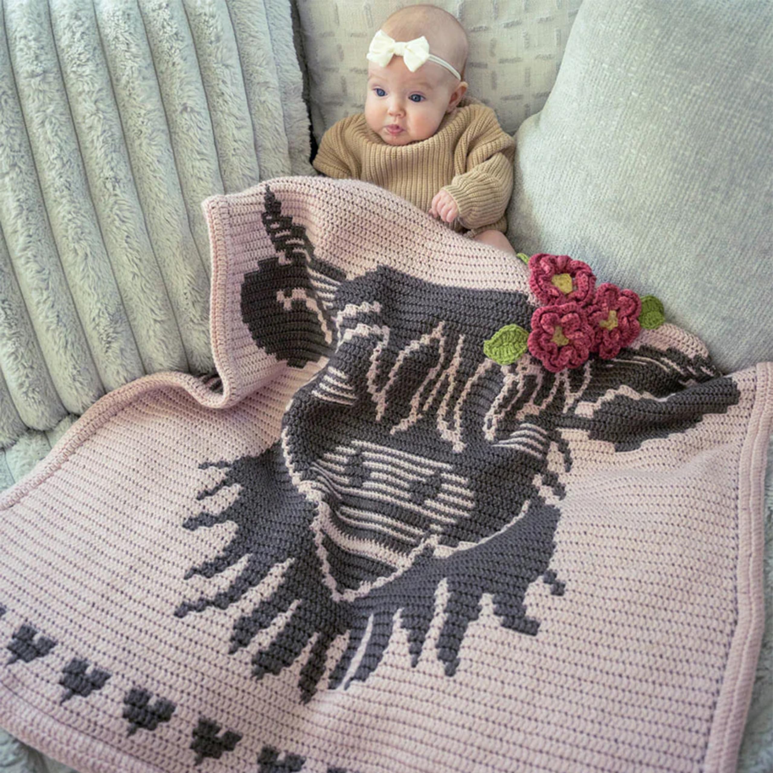 Mary Maxim Little Highland Wonder Baby Blanket Crochet Kit, Intermediate Crochet Blanket Kit Includes Mellowspun DK Yarn and Pattern, Finished Size 31 x 35 Inches - Image 3