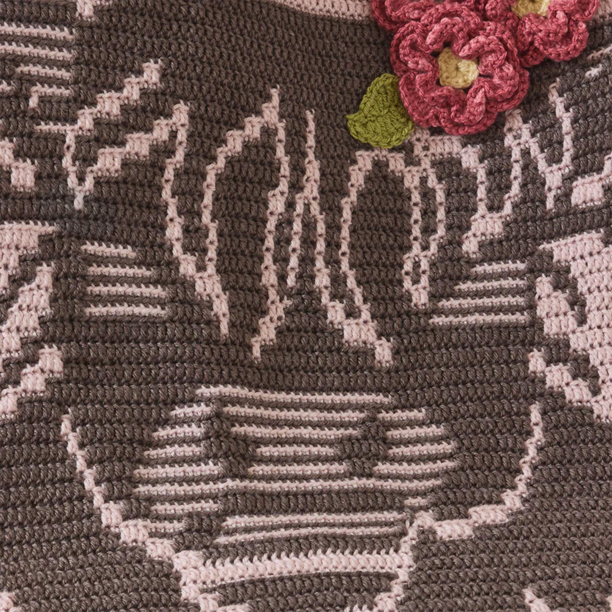 Mary Maxim Little Highland Wonder Baby Blanket Crochet Kit, Intermediate Crochet Blanket Kit Includes Mellowspun DK Yarn and Pattern, Finished Size 31 x 35 Inches - Image 6